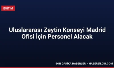 Uluslararası Zeytin Konseyi Madrid Ofisi İçin Personel Alacak