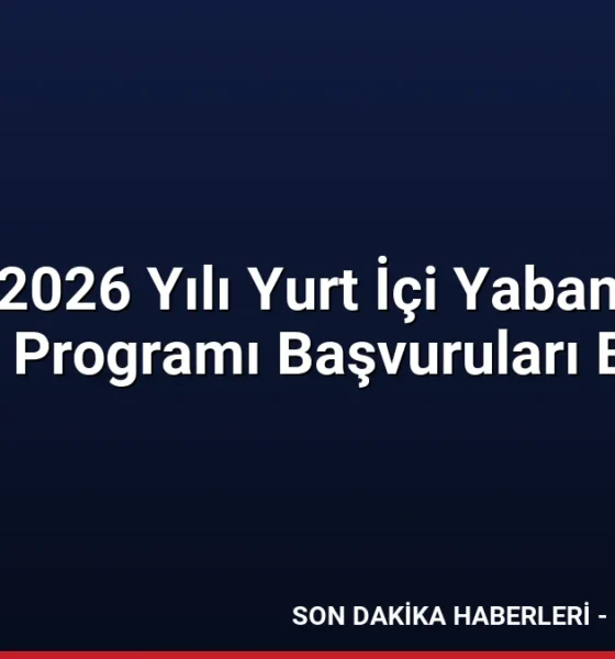 YÖK 2026 Yılı Yurt İçi Yabancı Dil Eğitim Programı Başvuruları Başladı