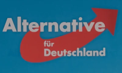 Almanya siyasetinde AfD yükselişi anketlere ve sokaklara yansıdı