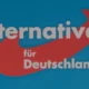 Almanya siyasetinde AfD yükselişi anketlere ve sokaklara yansıdı
