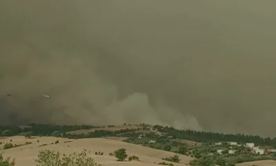 Antalya ve Adana orman yangınlarında tahliyeler sürüyor