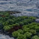 Antarktika Araştırma Üslerinde Hidroponik Tarım Dönemi