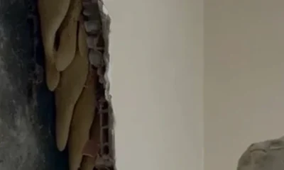 Avcılar kentsel dönüşüm yıkımında duvardan bal çıktı