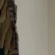 Avcılar kentsel dönüşüm yıkımında duvardan bal çıktı
