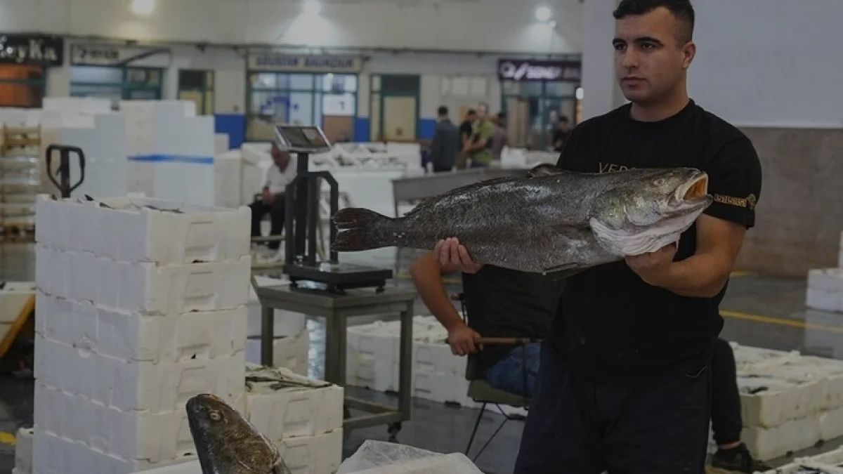 Egeli Balıkçılar Son 20 Yılın En Bereketli Sezonunu Yaşıyor