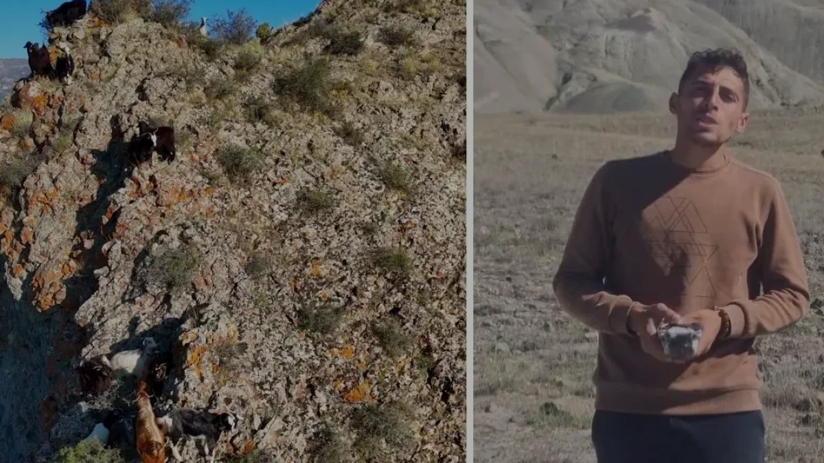 Erzurumlu çoban İsmail Akkaş sürüsünü dron ile yönetiyor