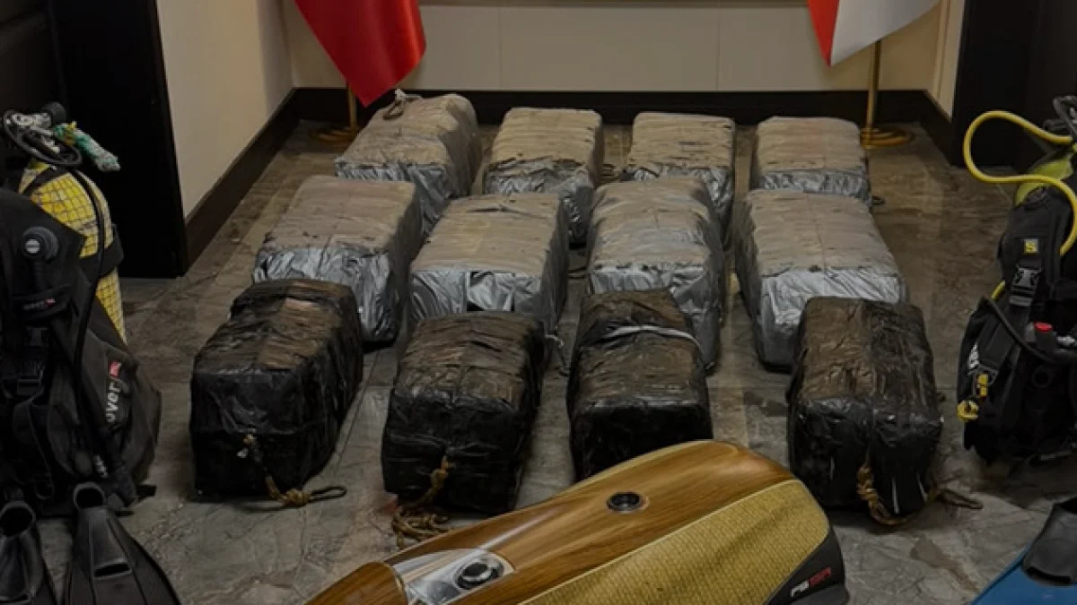 Mersin Limanında 350 Kilogram Kokain Ele Geçirildi