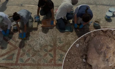 Pompeiopolis Antik Kentinde Eros Başı ve Dev Mozaik Bulundu