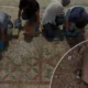 Pompeiopolis Antik Kentinde Eros Başı ve Dev Mozaik Bulundu