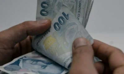 Tamamlayıcı Emeklilik Sistemi Orta Vadeli Programdan Çıkarıldı