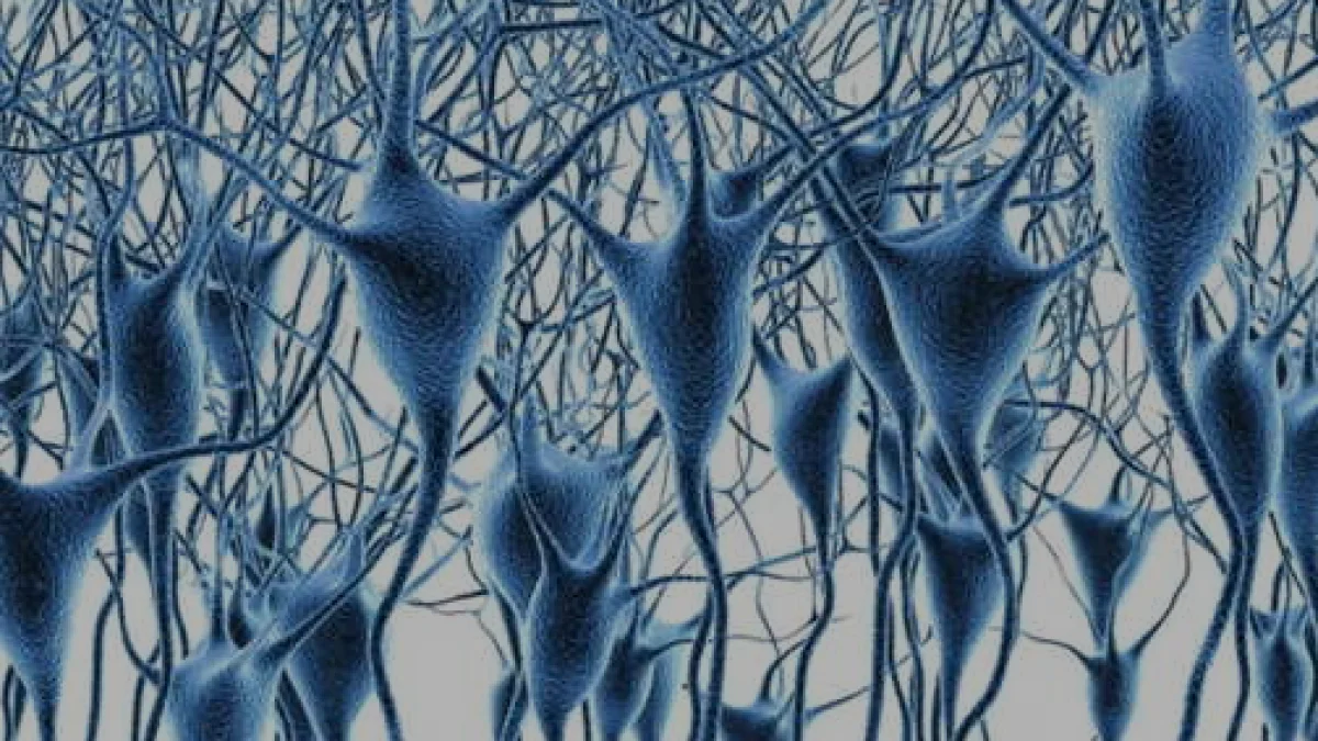 Beyin Gen Haritası Çıkarıldı Alzheimer ve Parkinson İçin Ortak Genler Bulundu