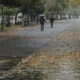 Eylül ayı yağışlarında rekor artış kaydedildi