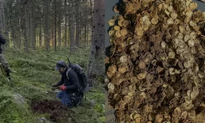 Finlandiya Sysma bölgesinde dev Viking hazinesi keşfedildi