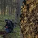 Finlandiya Sysma bölgesinde dev Viking hazinesi keşfedildi