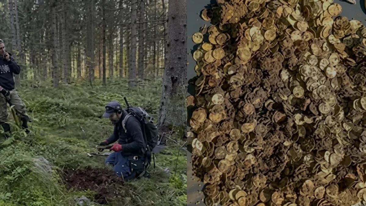 Finlandiya Sysma bölgesinde dev Viking hazinesi keşfedildi