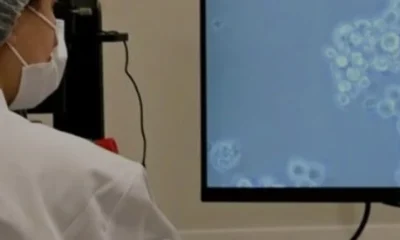 Küresel Kanser Vakalarının Yüzde 12si Enfeksiyon Kaynaklı