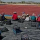 Nevşehir Bahçeli köyü kuru erik üretimiyle dünya pazarına açılıyor