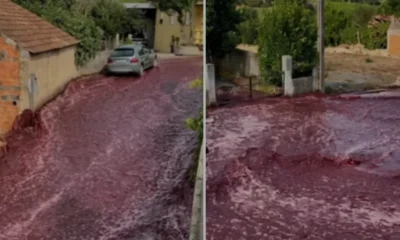Portekizdeki şarap seli felaketinin üzerinden bir yıl geçti