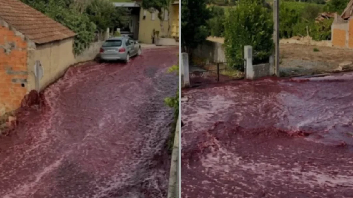 Portekizdeki şarap seli felaketinin üzerinden bir yıl geçti