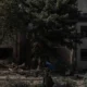 Rusya ve Ukrayna arasında karşılıklı enerji ve sanayi tesisi saldırıları
