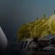 Suriye Yönetimi ve Hizbullah Türkiye Arabuluculuğunda Gizli Görüştü